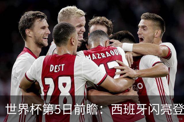 世界杯第5日前瞻：西班牙闪亮登场 伊沙亮相力争开门红